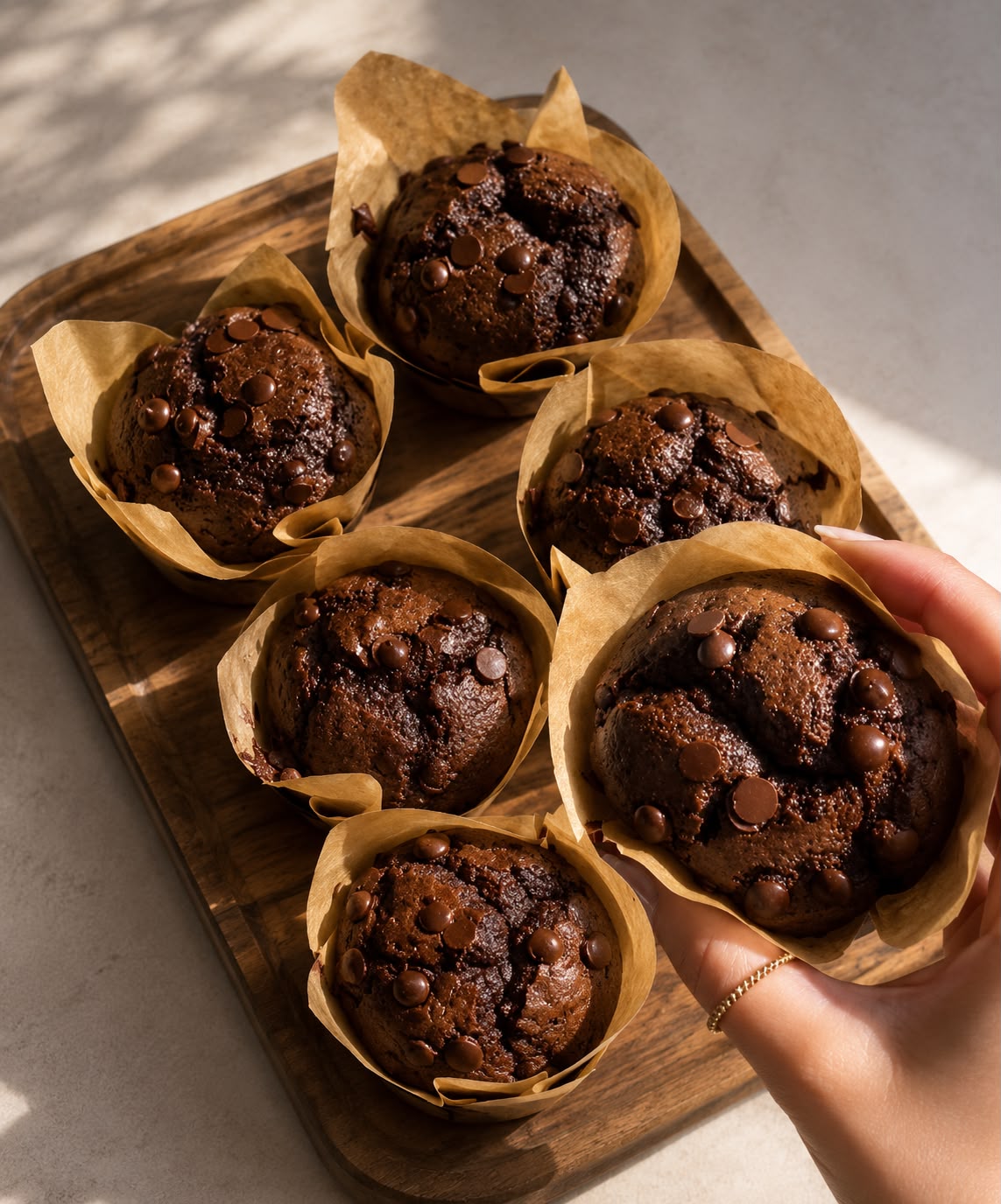 Chocolate Muffin (5 Mini size)